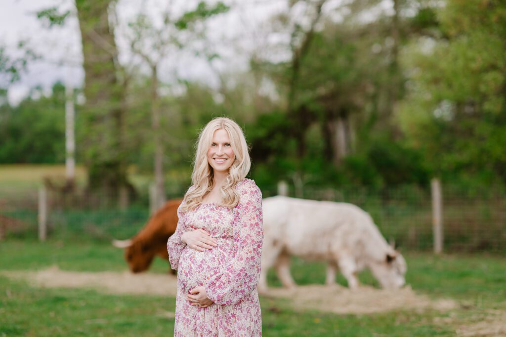 A blonde pregnant woman poses for the camera during her family photography session with Christy Rice Photography at Cooper's Knoll farm in Pataskala, Ohio. Behind her are several grazing highland cows.