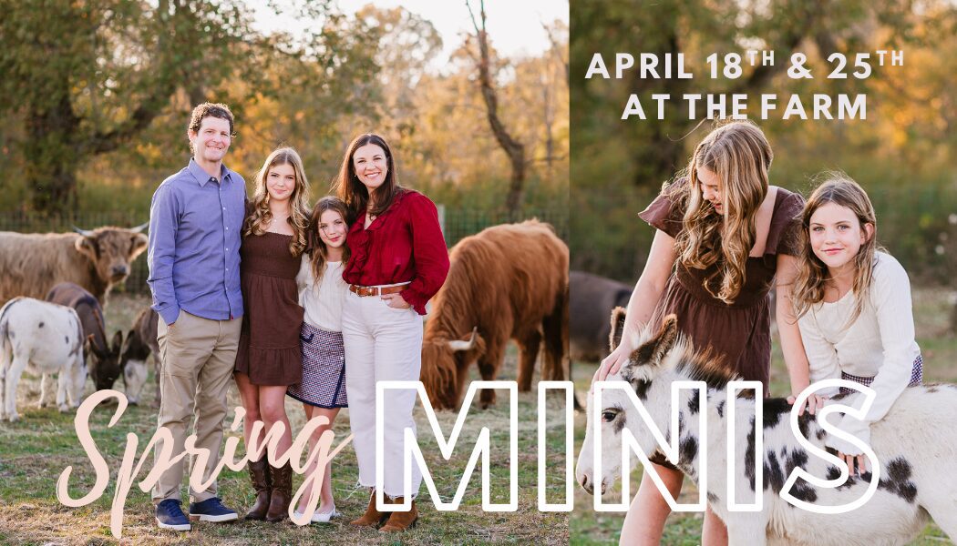 spring mini sessions, spring farm minis, christy rice photography , columbus ohio family photographer, westerville ohio family photographer