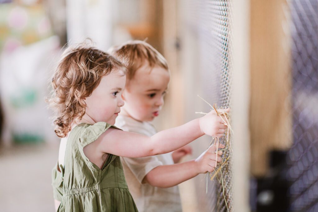 Two year old twins feed goats during their family photography session with Christy Rice Photography at Cooper's Knoll Farm in Pataskala, Ohio