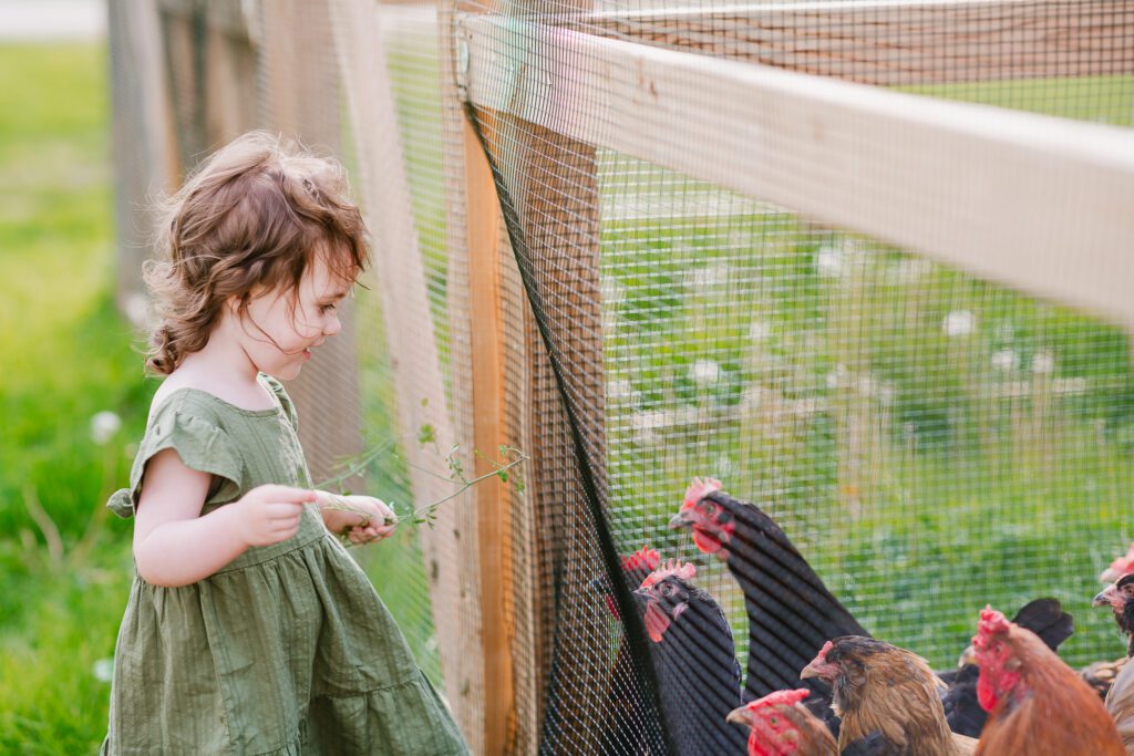 A two year old girl smiles at the chickens in a coop during her family photography session with Christy Rice Photography at Cooper's Knoll Farm in Pataskala, Ohio